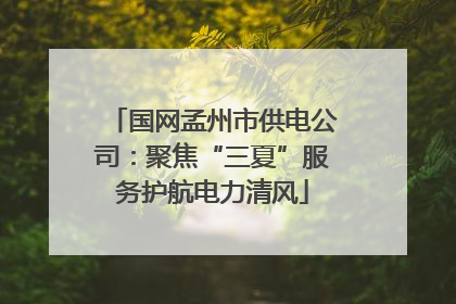 国网孟州市供电公司：聚焦“三夏”服务护航电力清风