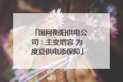 国网衡阳供电公司：主变增容 为度夏供电添保障