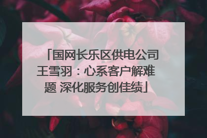 国网长乐区供电公司王雪羽：心系客户解难题 深化服务创佳绩