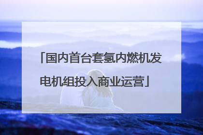 国内首台套氢内燃机发电机组投入商业运营