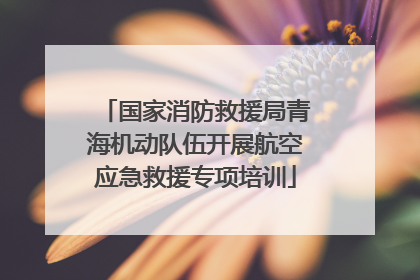 国家消防救援局青海机动队伍开展航空应急救援专项培训