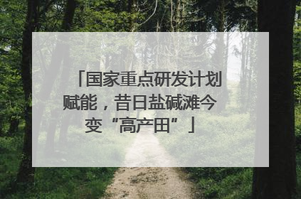 国家重点研发计划赋能，昔日盐碱滩今变“高产田”