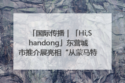 国际传播｜「Hi,Shandong」东营城市推介展亮相“从蒙马特到加里波第”文化节
