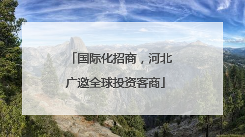 国际化招商，河北广邀全球投资客商