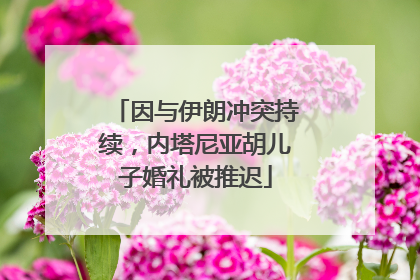 因与伊朗冲突持续，内塔尼亚胡儿子婚礼被推迟