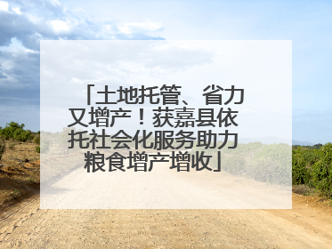 土地托管、省力又增产！获嘉县依托社会化服务助力粮食增产增收