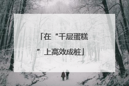 在“千层蛋糕”上高效成桩