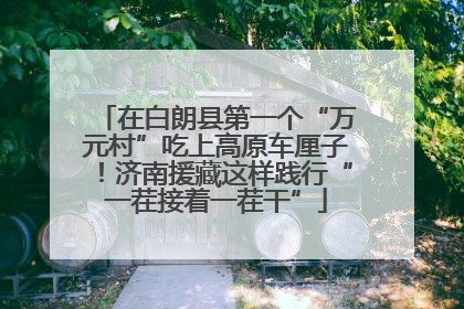 在白朗县第一个“万元村”吃上高原车厘子！济南援藏这样践行“一茬接着一茬干”