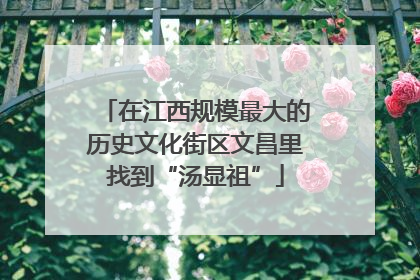 在江西规模最大的历史文化街区文昌里找到“汤显祖”