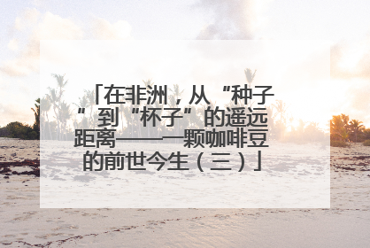 在非洲，从“种子”到“杯子”的遥远距离——一颗咖啡豆的前世今生（三）