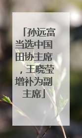 孙远富当选中国田协主席，王晓莹增补为副主席