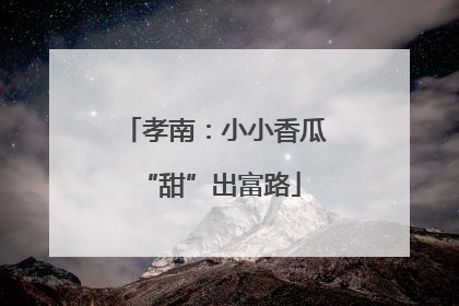 孝南：小小香瓜 “甜”出富路