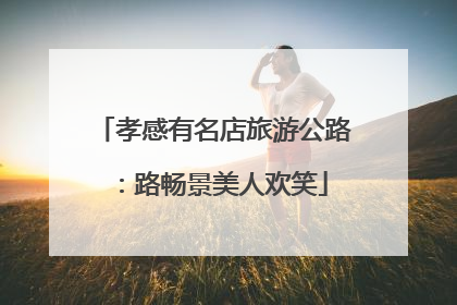 孝感有名店旅游公路：路畅景美人欢笑