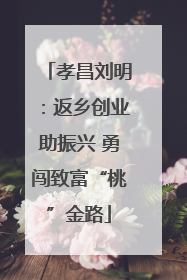 孝昌刘明：返乡创业助振兴 勇闯致富“桃”金路