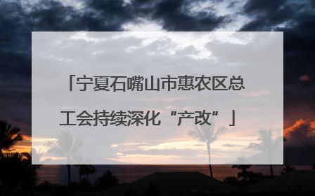 宁夏石嘴山市惠农区总工会持续深化“产改”