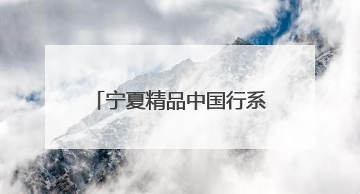 宁夏精品中国行系列活动在京举办