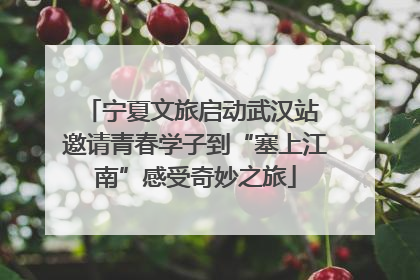 宁夏文旅启动武汉站 邀请青春学子到“塞上江南”感受奇妙之旅