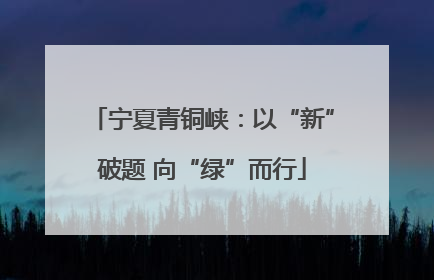 宁夏青铜峡：以“新”破题 向“绿”而行