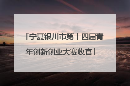 宁夏银川市第十四届青年创新创业大赛收官
