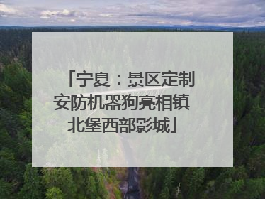 宁夏：景区定制安防机器狗亮相镇北堡西部影城