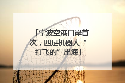宁波空港口岸首次，四足机器人“打飞的”出海