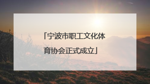 宁波市职工文化体育协会正式成立