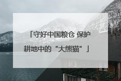 守好中国粮仓 保护耕地中的“大熊猫”