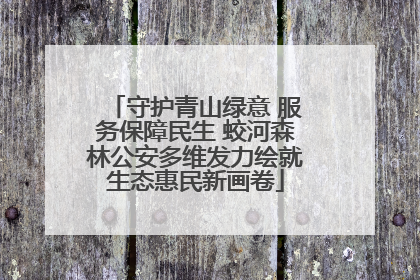 守护青山绿意 服务保障民生 蛟河森林公安多维发力绘就生态惠民新画卷
