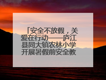 安全不放假，关爱在行动——庐江县同大镇农林小学开展暑假前安全教育大家访