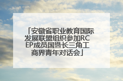 安徽省职业教育国际发展联盟组织参加RCEP成员国暨长三角工商界青年对话会
