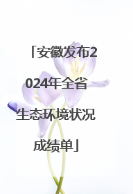 安徽发布2024年全省生态环境状况成绩单