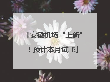 安徽机场“上新”！预计本月试飞