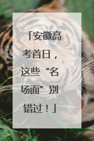 安徽高考首日，这些“名场面”别错过！