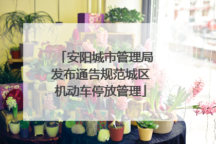 安阳城市管理局发布通告规范城区机动车停放管理