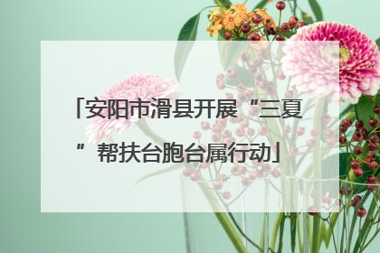 安阳市滑县开展“三夏”帮扶台胞台属行动