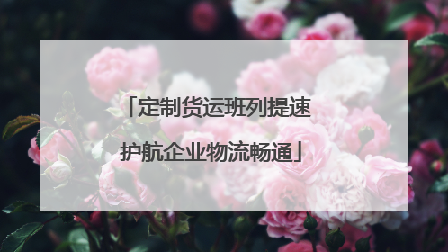 定制货运班列提速 护航企业物流畅通