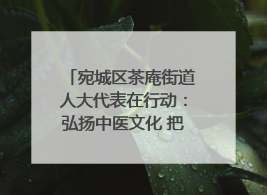 宛城区茶庵街道人大代表在行动：弘扬中医文化 把脉基层健康