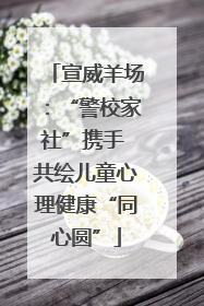 宣威羊场：“警校家社”携手 共绘儿童心理健康“同心圆”