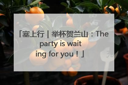 塞上行｜举杯贺兰山：The party is waiting for you！