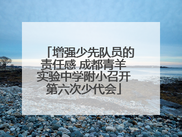 增强少先队员的责任感 成都青羊实验中学附小召开第六次少代会