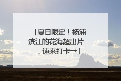 夏日限定！杨浦滨江的花海超出片，速来打卡→