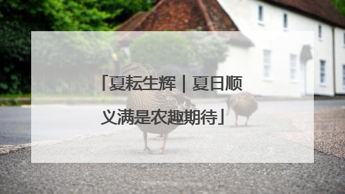 夏耘生辉｜夏日顺义满是农趣期待