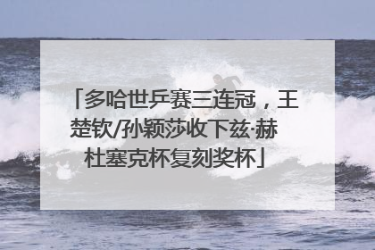 多哈世乒赛三连冠，王楚钦/孙颖莎收下兹·赫杜塞克杯复刻奖杯