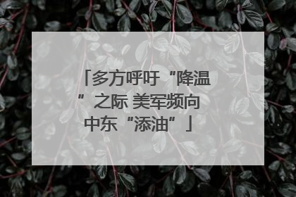 多方呼吁“降温”之际 美军频向中东“添油”