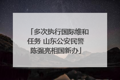 多次执行国际维和任务 山东公安民警陈强亮相国新办