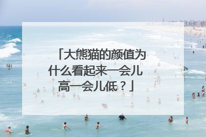 大熊猫的颜值为什么看起来一会儿高一会儿低？