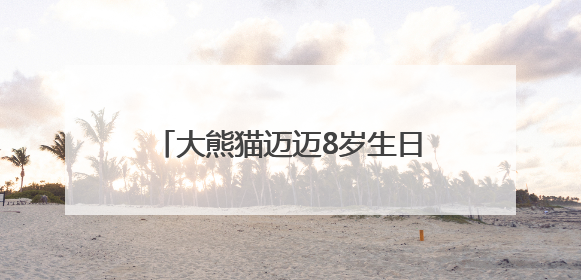 大熊猫迈迈8岁生日会圆满落幕 端午传统与国宝生日完美融合
