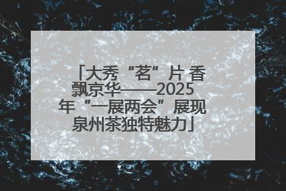 大秀“茗”片 香飘京华——2025年“一展两会”展现泉州茶独特魅力