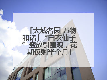 大城名园 万物和谐│“白衣仙子”盛放引围观，花期仅剩半个月