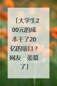 大学生200元的成本干了20亿的项目？网友：羡慕了